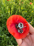 Pendientes Amapola