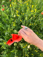 Anillo Amapola