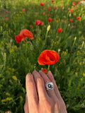 Anillo Amapola