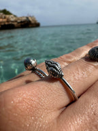 Anillo Caracol