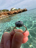 Anillo Erizo de Mar