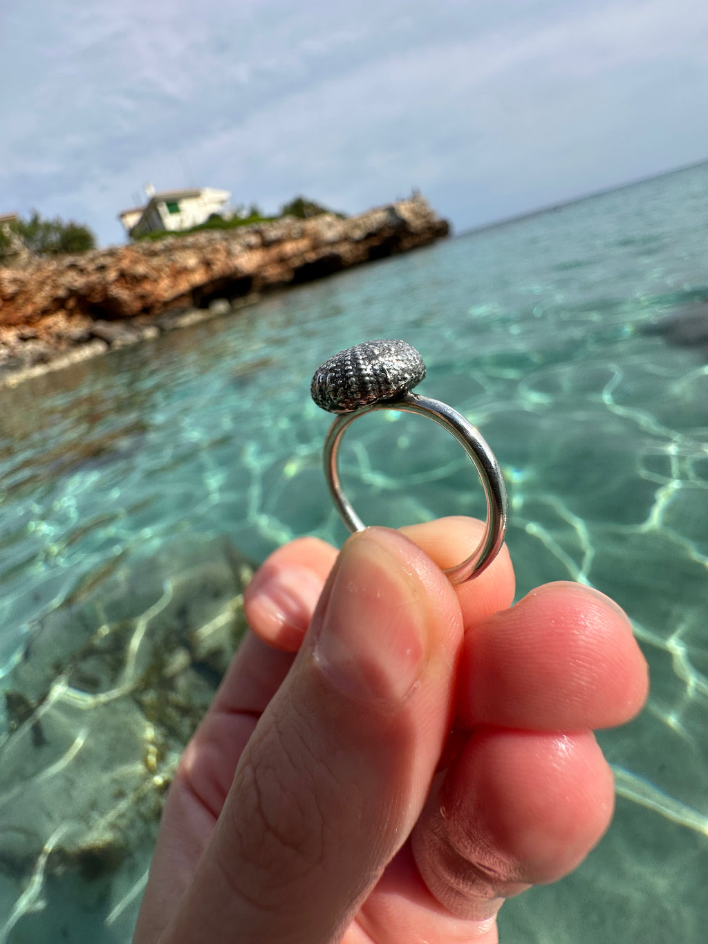 Anillo Erizo de Mar