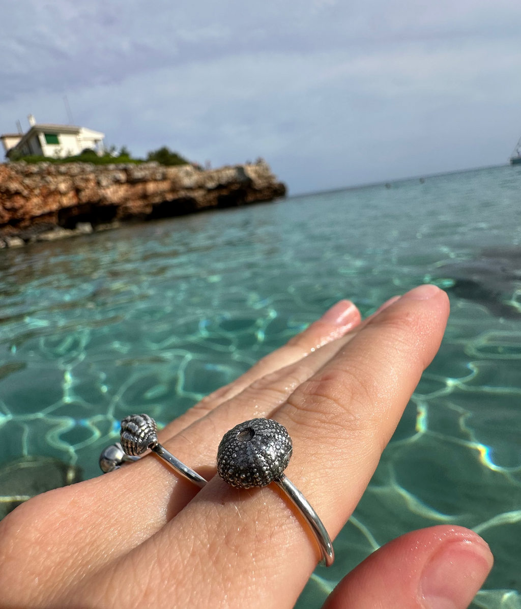 Anillo Erizo de Mar