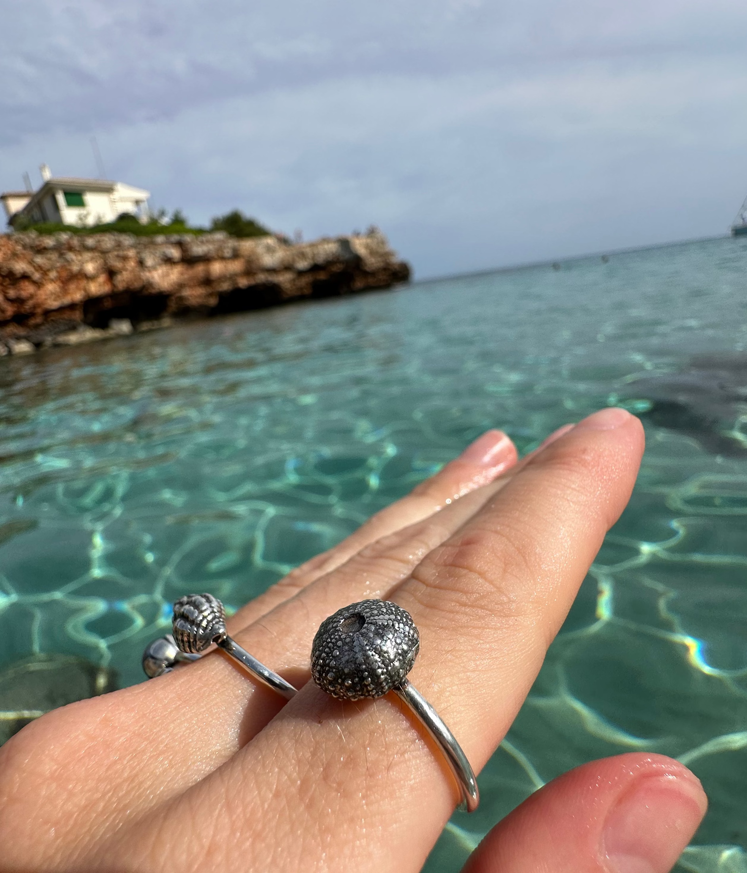 Anillo Erizo de Mar