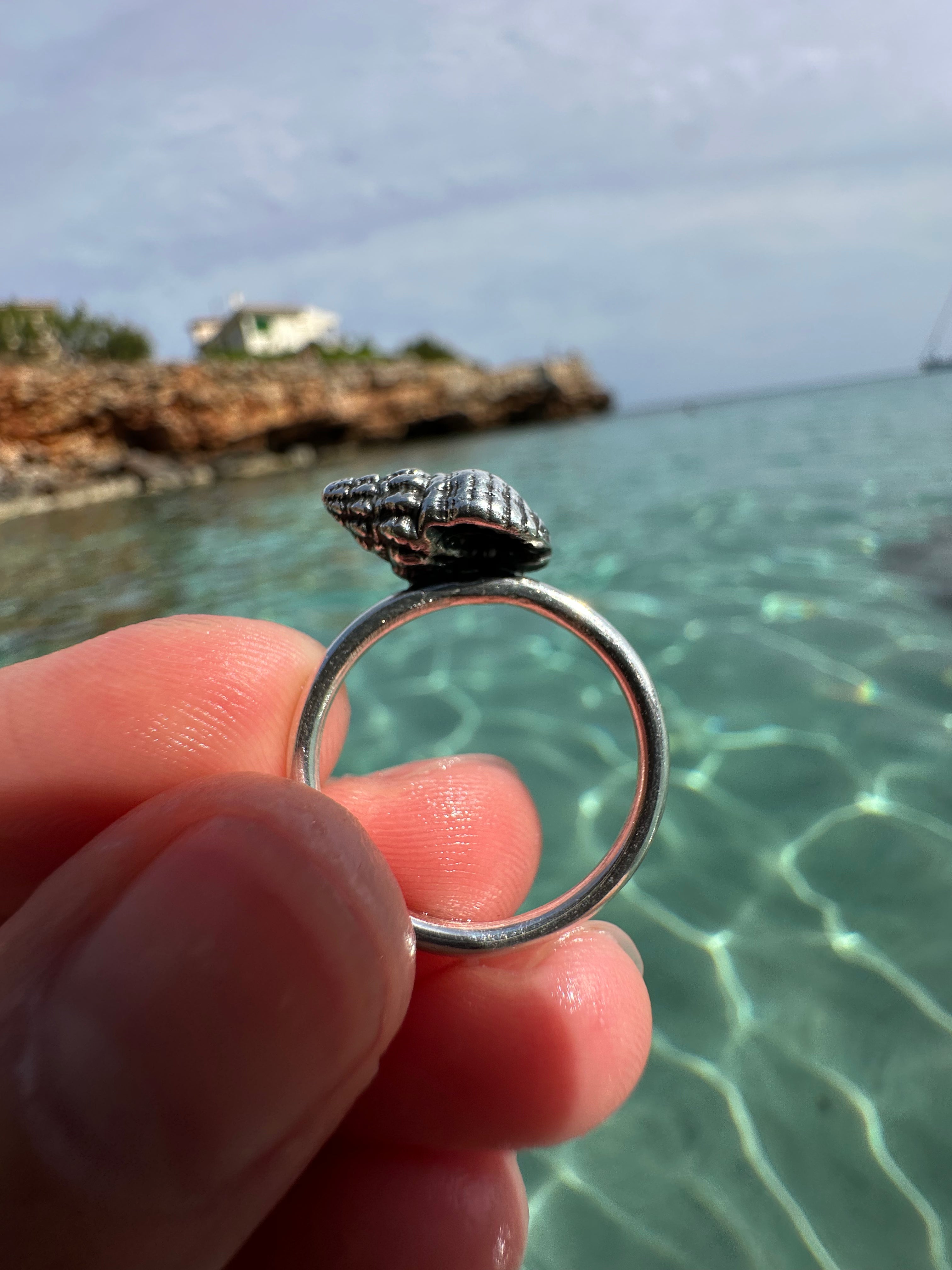 Anillo Caracol