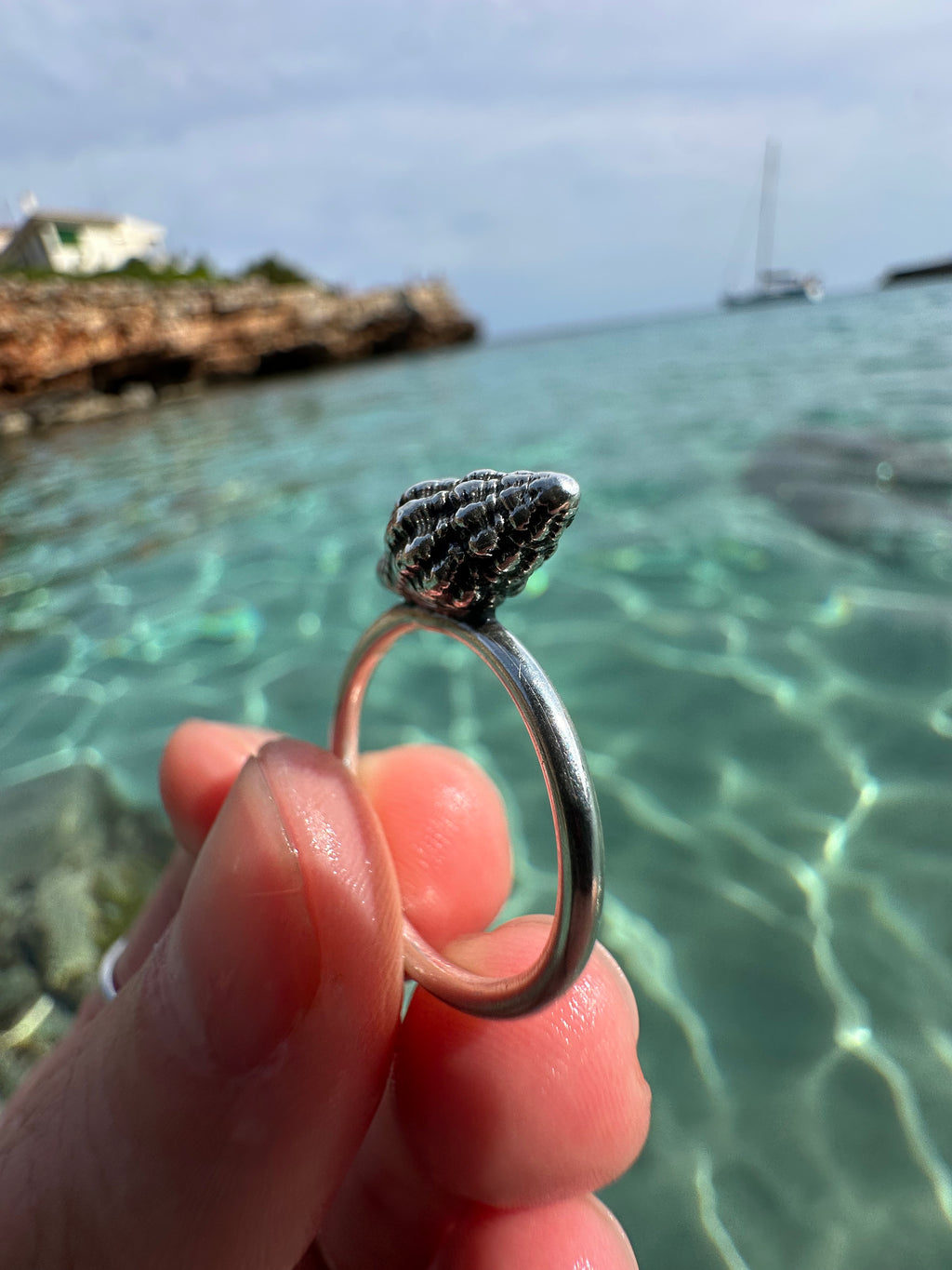 Anillo Caracol