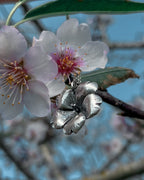 Colgante flor de almendro